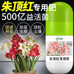 朱顶红专用肥球根花卉肥料有机缓释复合营养液促花生物盆栽开花肥