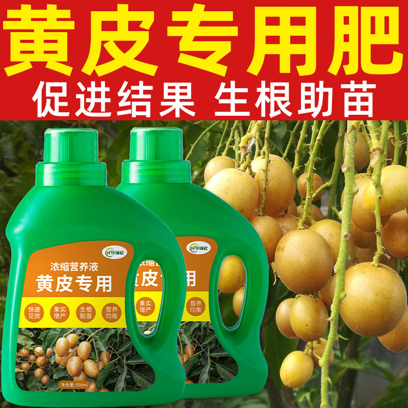 黄皮树肥料黄皮果专用肥黄皮营养无机肥