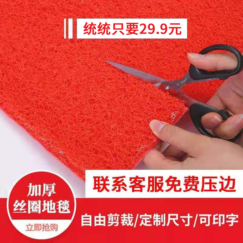 logo丝圈门口门厅客厅pvc地垫