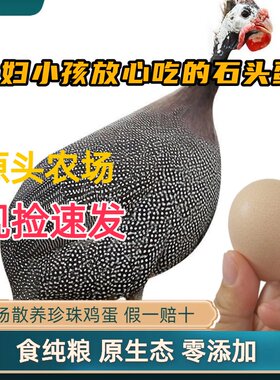 散养珍珠鸡蛋蛋壳更硬蛋王之选