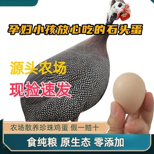 新鲜珍珠鸡蛋 现货直发 撞蛋斗蛋宝宝补钙 立夏蛋王选择 顺风包邮