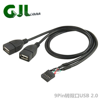 台式机主板9Pin转双口USB 2.0两口扩展线 双口延长线 U2-329 50cm