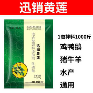 迅销黄莲散兽用牛羊猪鸡鸭鹅水产用饲料添加剂