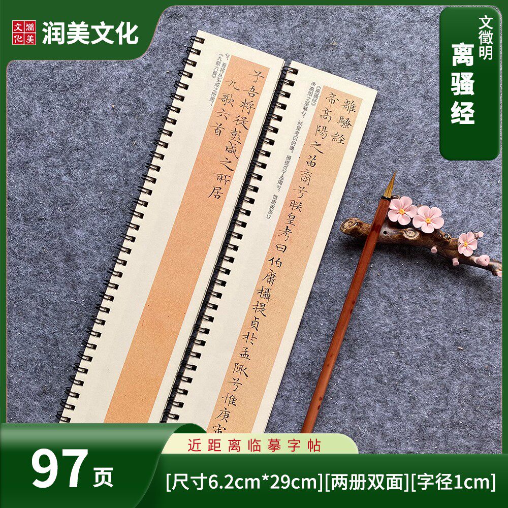 文征明离骚经小楷毛笔楷书字帖书法字帖 近距离对临字帖