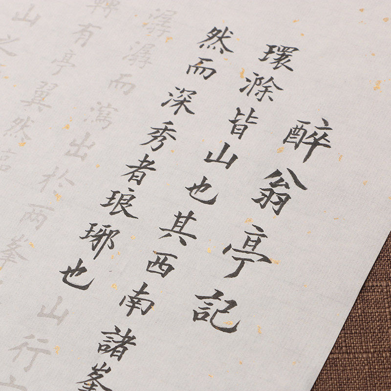 醉翁亭记小楷描红字帖 毛笔书法练习临摹描红洒银宣纸田英章欧体