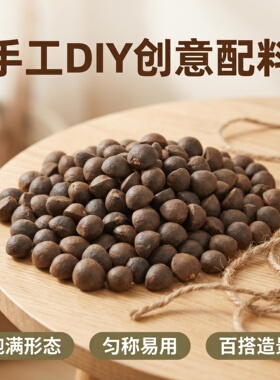 山茶籽创意材料森系装饰解压摆件
