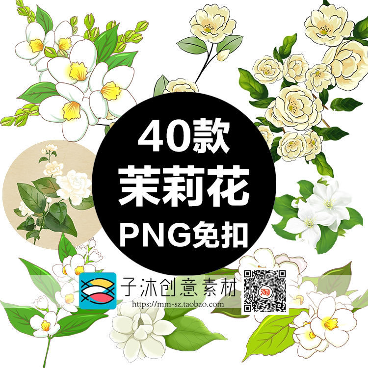 手绘茉莉花插画png透明背景免扣图唯美小清新花卉花朵插图素材