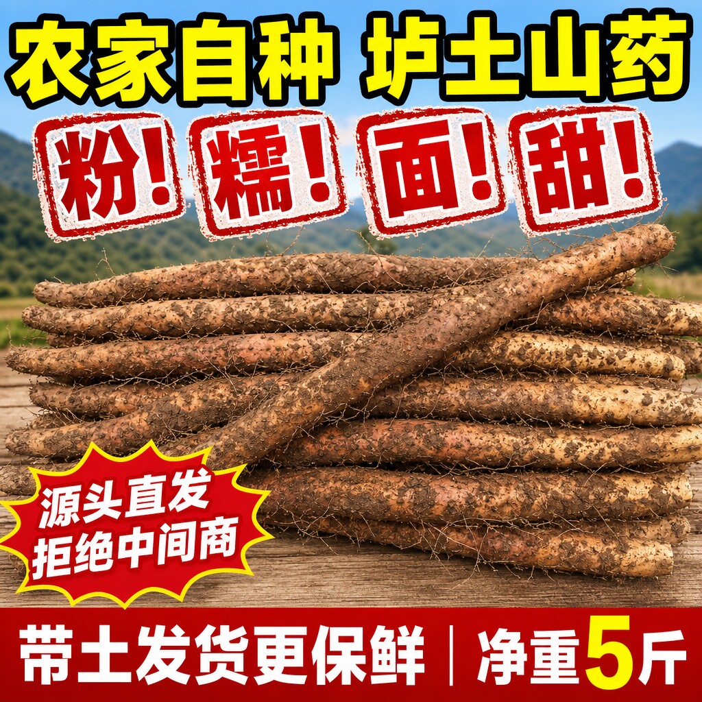 正宗温县垆土铁棍山药现挖粉糯