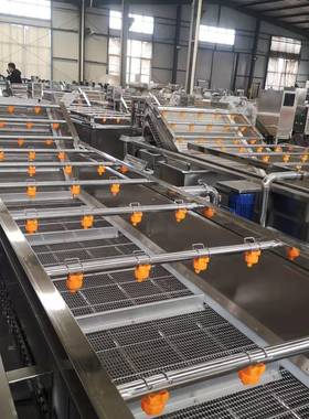 能全自动IQL杨 梅蔬清洗机果 多功蔬菜清洗机山药片洗菜机设备