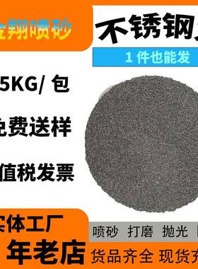 不锈钢丸4抛10 430.1 0.2  丸304不锈钢丸 抛机用的抛丸 钢砂0 铝