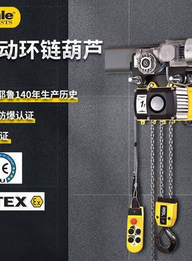 Y定制耶鲁JL12t3t5tt集型成变频小微齿条低净空吊YJLf250k机 电动