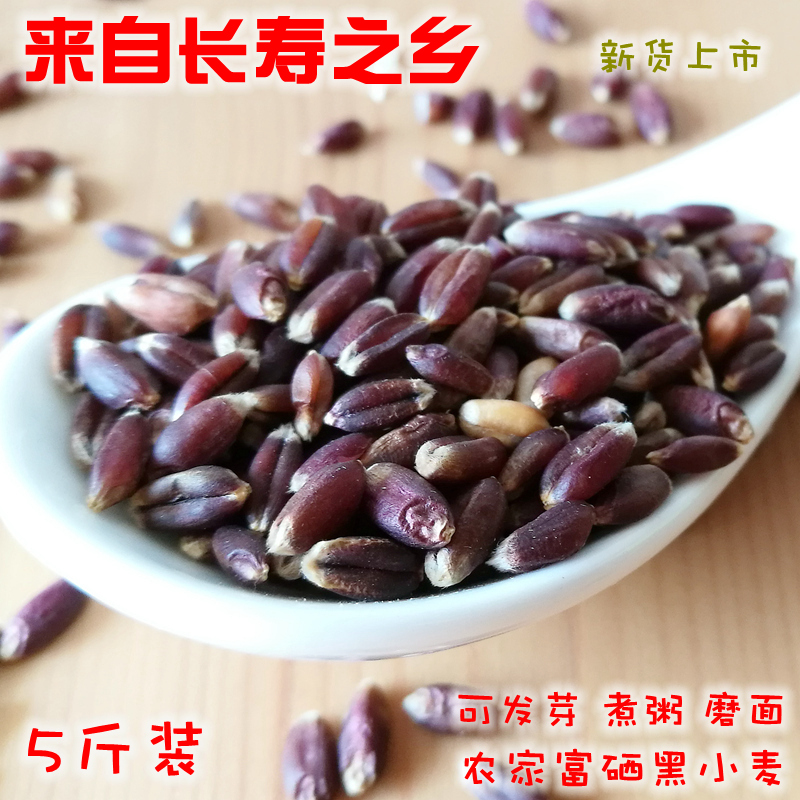 新农家富硒黑小麦磨面煮粥带皮小麦粒黑麦子种子发芽麦芽糖黑麦粒