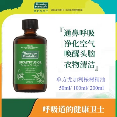 香薰桉树尤加利澳洲呼吸道健康