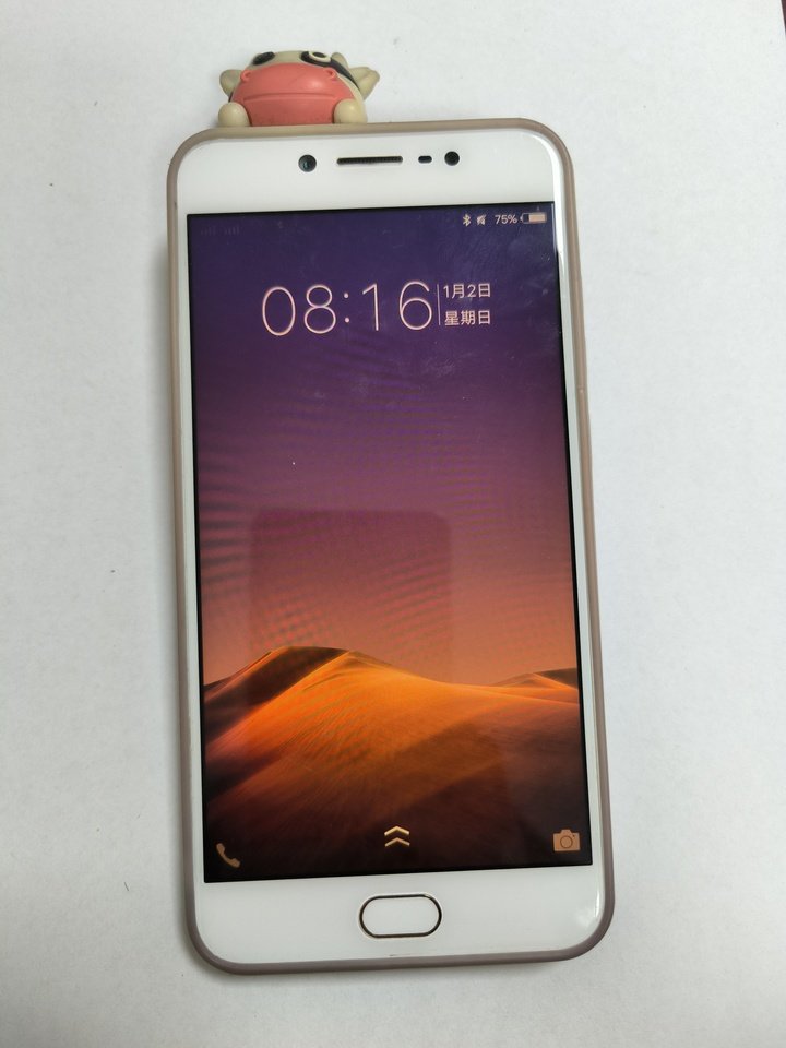 1月14日柳州华为”牌Mate9型手机等4台手机网络拍卖公告