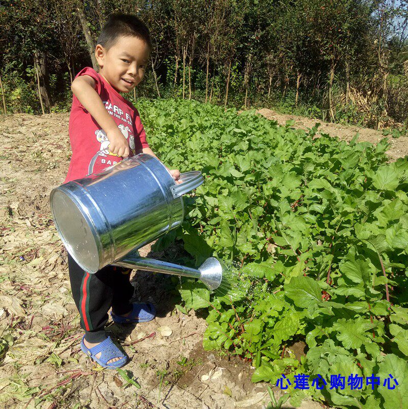 洒水壶镀锌铁皮浇水壶种菜壶大容量长嘴浇花壶家用农用两用加固壶