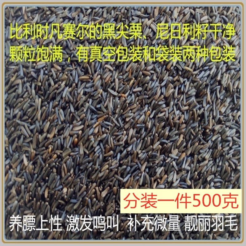 尼日尔草籽金丝雀鸟提性现货500克黑尖一斤包邮 鹦鹉雀鸟饲料鸟粮