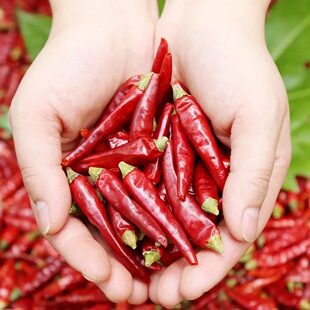 干辣椒包邮农家四川小米辣七星椒朝天椒粉油辣子香海椒250克