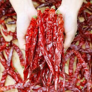 二荆条干辣椒中辣特香贵州辣椒海椒贵州干辣椒微辣人工挑选