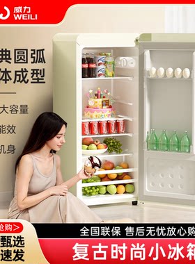 冰洗机冰吧多功能家用