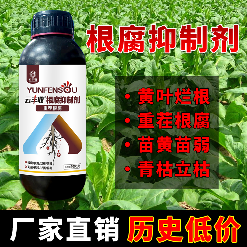 云豐收根腐抑制劑根腐克星