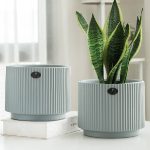 绿植室内客厅多肉虎皮兰花盆 北欧陶瓷花盆中号大号带托盘简约欧式