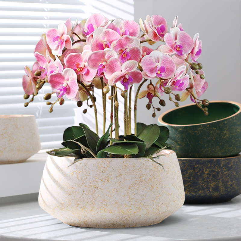 网红简约轻奢兰花花盆