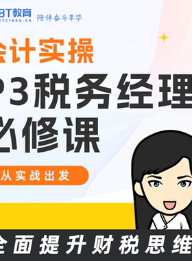 BT学院会计实务名企CFO实操报税教程做账真账实训审计底稿BT教育