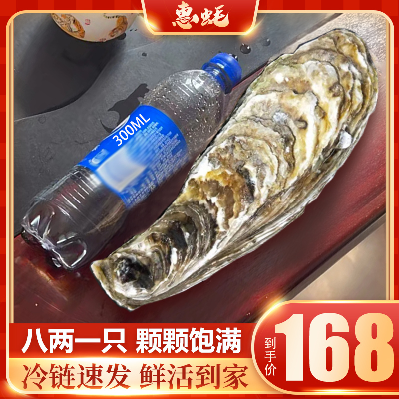 乳山生蚝大蚝王8XL带箱10斤鲜活乳山生蚝新鲜牡蛎即食海蛎子海鲜 水产肉类/新鲜蔬果/熟食 生蚝 原图主图