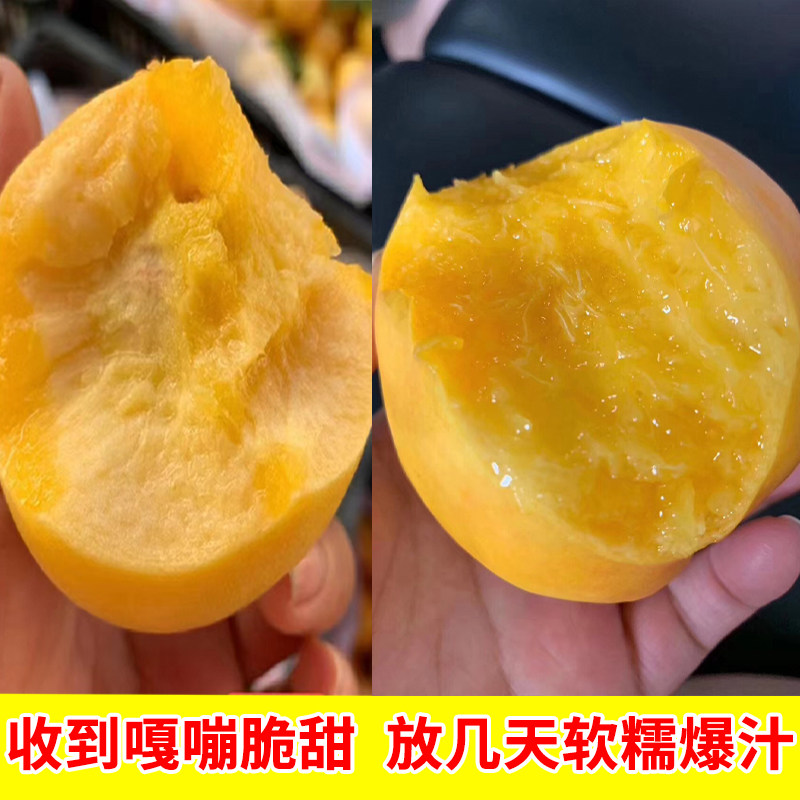 正宗大连黄金油桃新鲜整箱5斤芒果香黄心油桃子脆甜多汁新鲜采摘图片