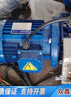 TAIMRALI蜗轮蜗杆减速电机，型号GS100L1-4，0