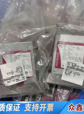 HoribaD517MG，流量计具体信息如下：