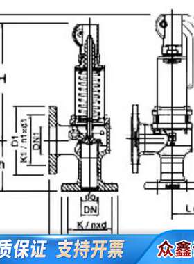 LESER莱斯安全阀，DN40，PN40，Type:44