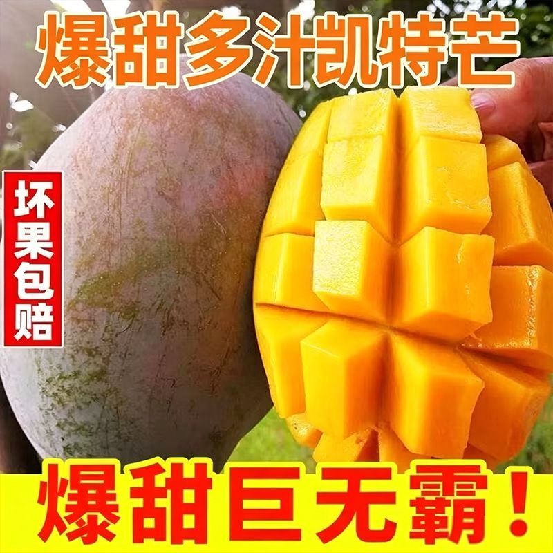 四川攀枝花凯特芒果特大超大皮薄肉厚新鲜水果整箱包邮