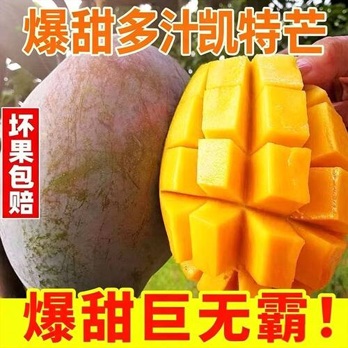 四川攀枝花凯特芒果特大超大皮薄肉厚新鲜水果整箱包邮