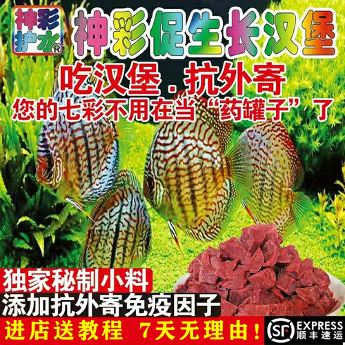 牛心汉堡七彩神仙鱼增色牛心汉堡