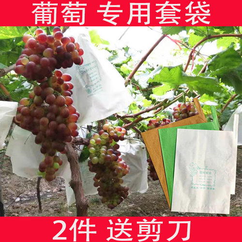露天葡萄专用套袋葡萄袋子葡萄套袋葡萄纸袋防虫防鸟果袋包邮 - 封面