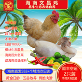 正宗海南特产文昌鸡新鲜走地鸡土鸡母鸡椰子鸡整只2只装