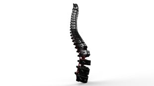 Solidworks设计 paxcyborg脊梁骨模型3D图纸