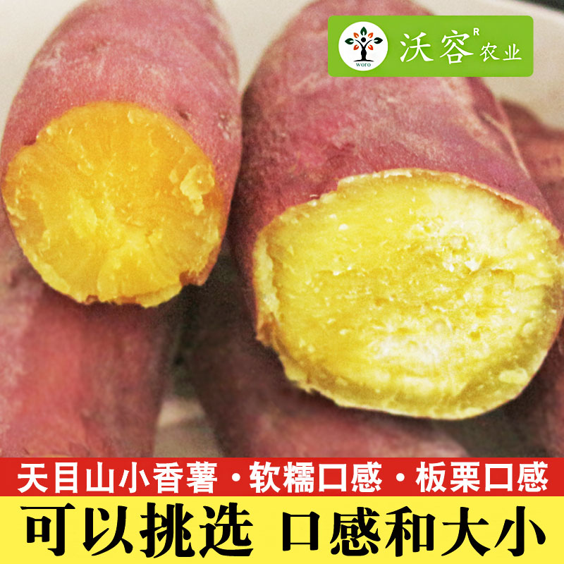 粉糯口感黄心沙地小香薯 蜜薯临安天目山新鲜红薯板栗沃容山芋5斤 水产肉类/新鲜蔬果/熟食 番薯 原图主图