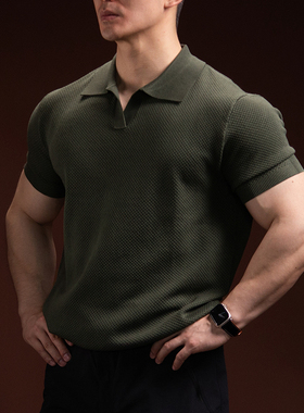 BARBRO短袖POLO衫男士老钱风痞帅风健身速干翻领T恤休闲上衣夏季