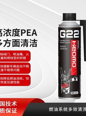 RZOIL-heomo G22 PEA 燃油系统多效除碳剂 清洗剂