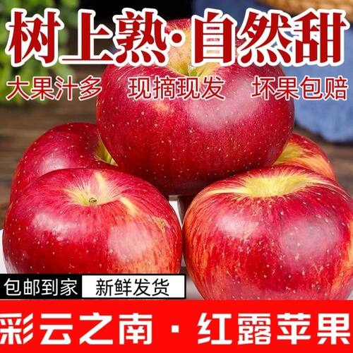 昭通红露丑苹果高原直发酥脆香甜