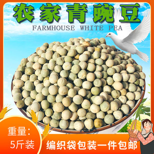 青豌豆绿豌豆鸽粮食物新优质生干豌豆信鸽粮观赏鸽粮散装5斤装