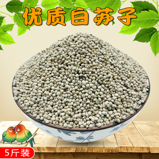苏子白苏子软苏子鸟食鸟粮鹦鹉粮金丝雀芙蓉鸟黄雀玉鸟文鸟十姐妹