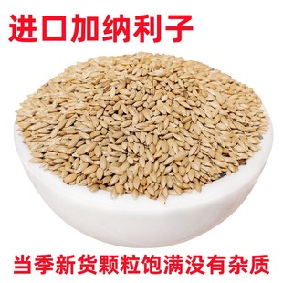 进口加纳利子鹦鹉鸟食油尖粟白尖粟草庐籽鸟粮鸟食物金丝雀籽文鸟