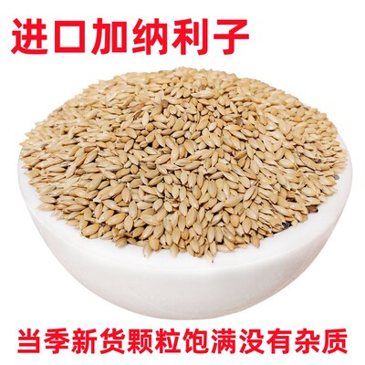 鸟食进口加纳油尖草庐多省包邮