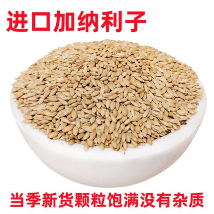 进口加纳利子鹦鹉鸟食油尖粟白尖粟草庐籽鸟粮鸟食物金丝雀籽文鸟