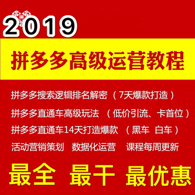 2019拼的店多多运营教程视频新手开店pdd电商学习推广技巧全套书