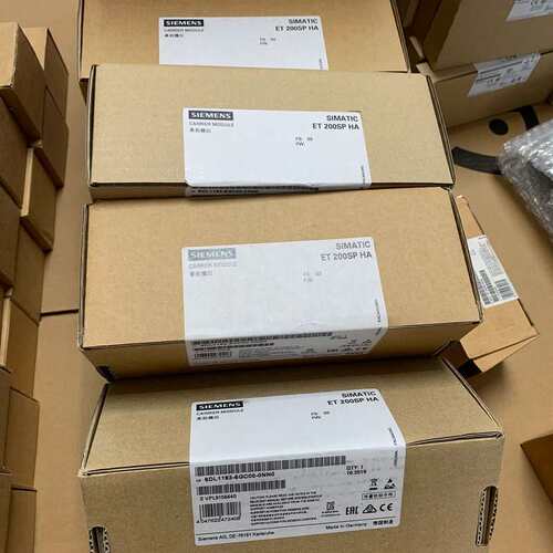 议价-6DL1193-6GC00-0NN0全新原装未拆封-可维修