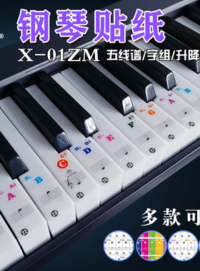 云之曲钢琴贴纸6188键电子琴键盘透明音阶字组五线谱贴音符X-01ZM